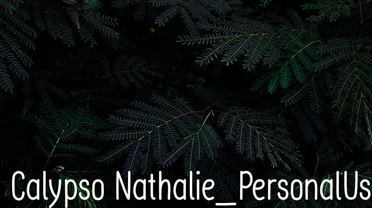 Calypso Nathalie_PersonalUse Font