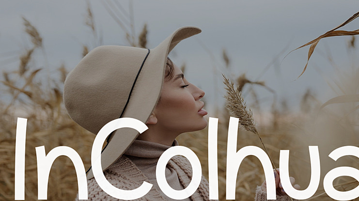 InColhua Font Family