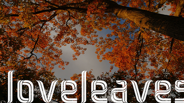 loveleaves Font