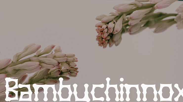 Bambuchinnox Font