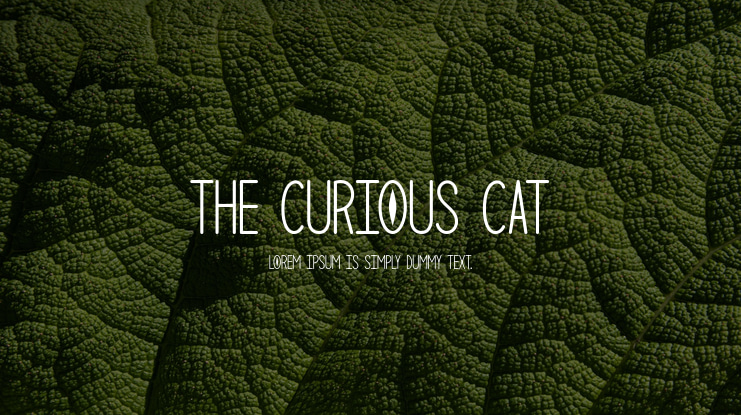 The Curious Cat Font
