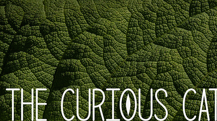 The Curious Cat Font