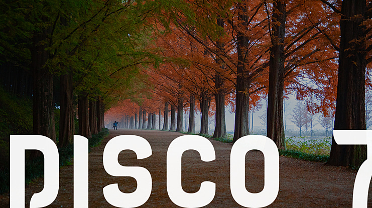 DISCO 7 Font