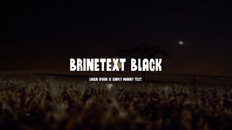 Brinetext Black Font