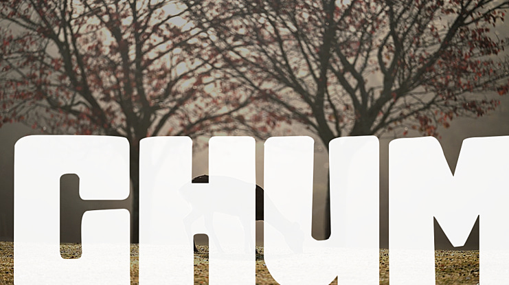 Chum Font