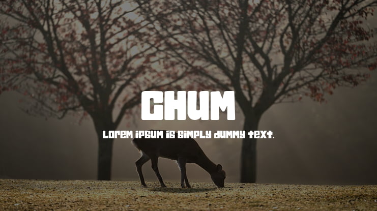 Chum Font