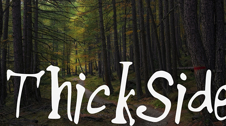 ThickSide Font
