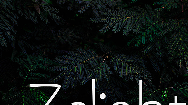 Zalight Font