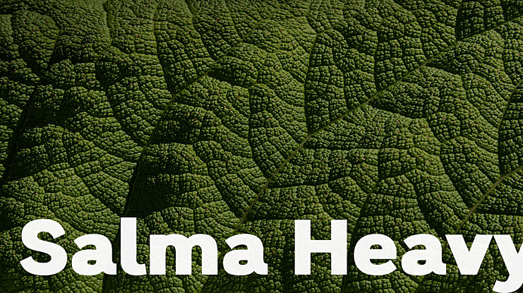Salma Heavy Font