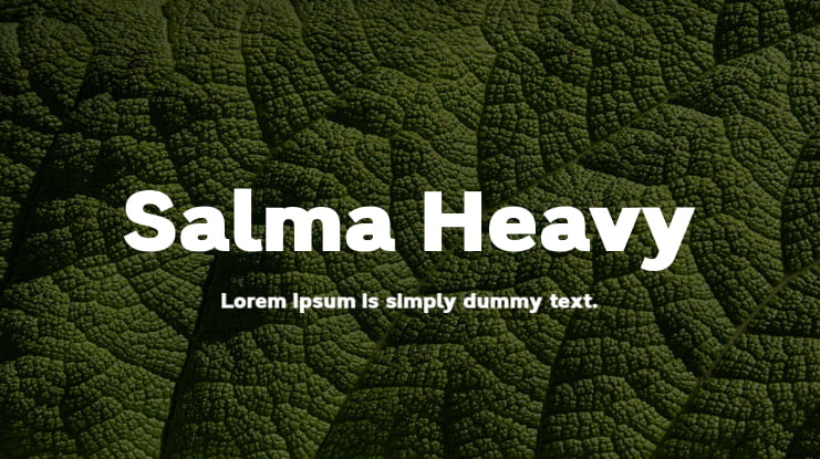 Salma Heavy Font