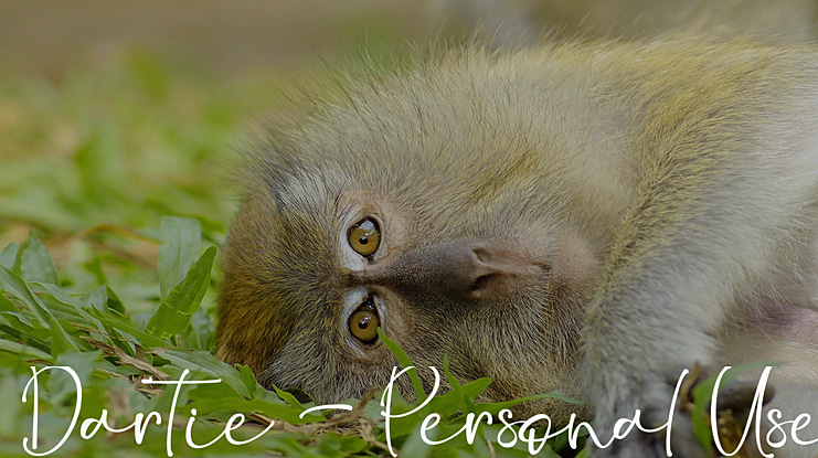 Dartie - Personal Use Font