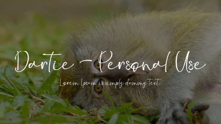Dartie - Personal Use Font