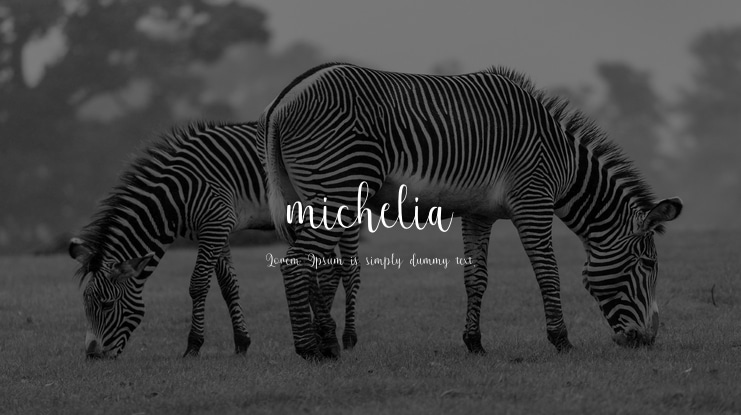 michelia Font