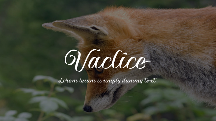 Vaclice Font