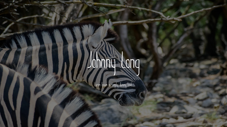 Johnny Long Font