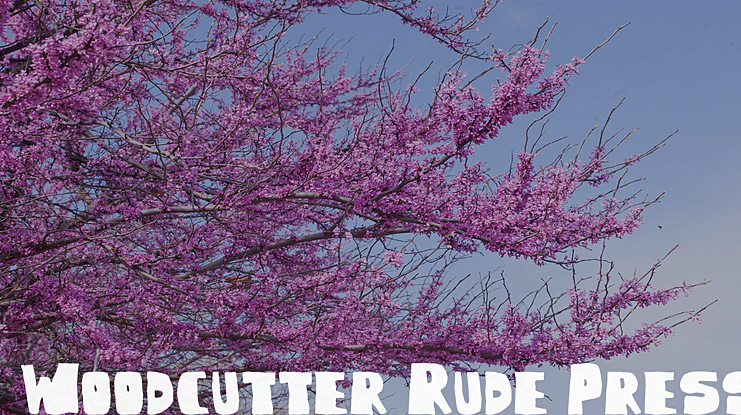 Woodcutter Rude Press Font