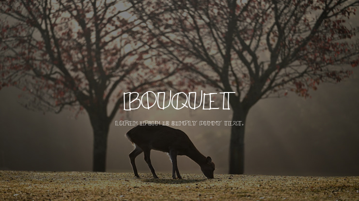 Bouquet Font
