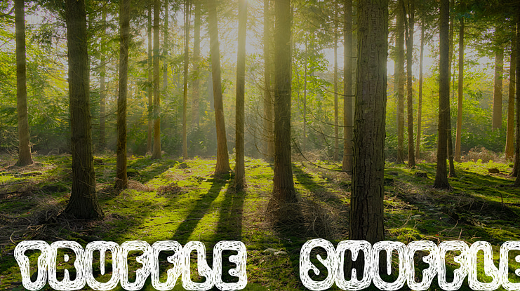 Truffle-Shuffle Font