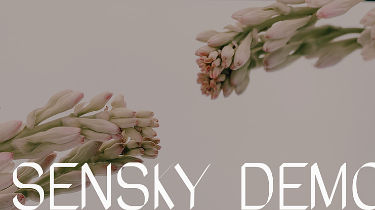 SeNSKY DEMO Font