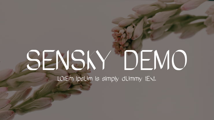 SeNSKY DEMO Font