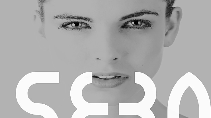 SEBA Font Family