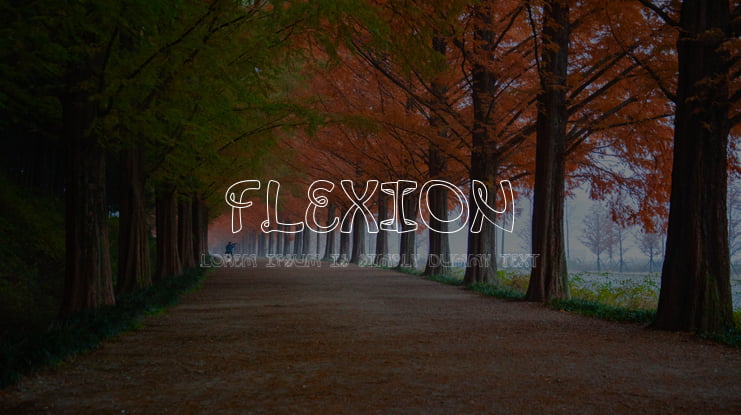 Flexion Font