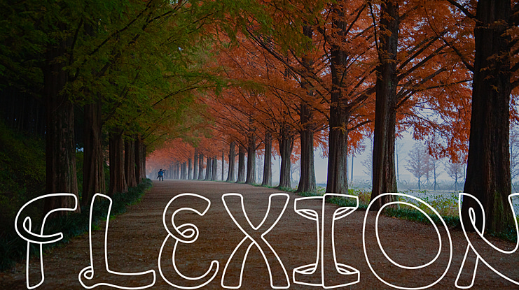 Flexion Font