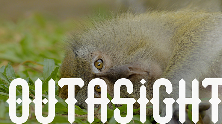 Outasight Font