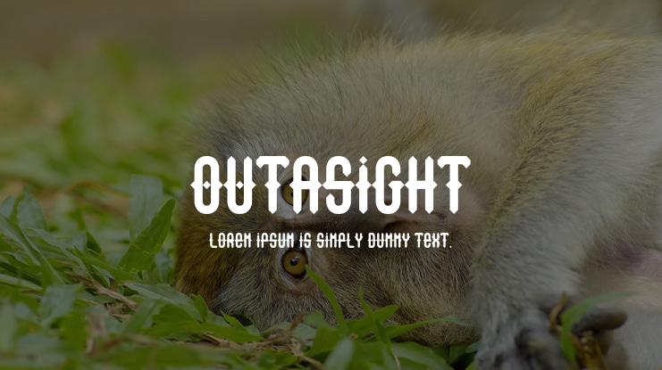 Outasight Font