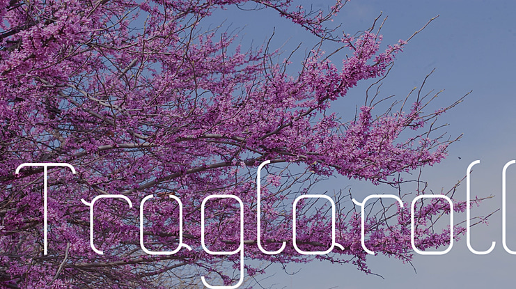 Truglaroll Font