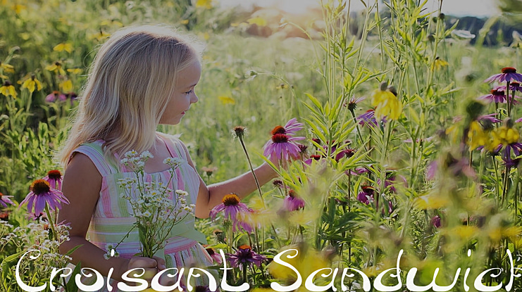 Croisant Sandwich Font Family