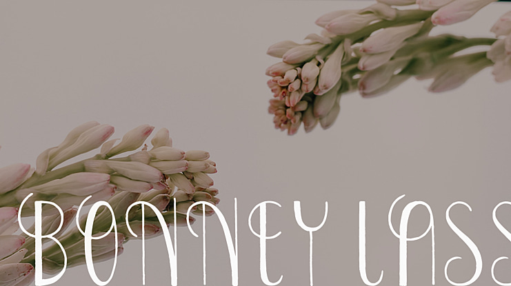 Bonney Lass Font