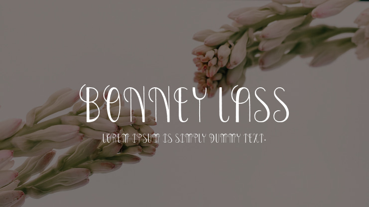 Bonney Lass Font