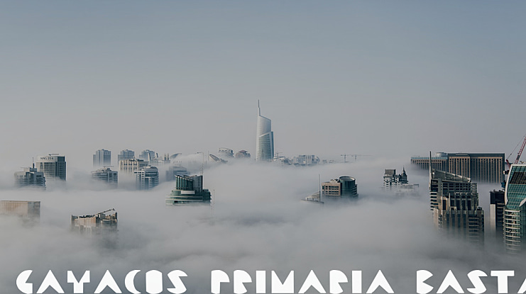 Gayacos Primaria Bastarda Font
