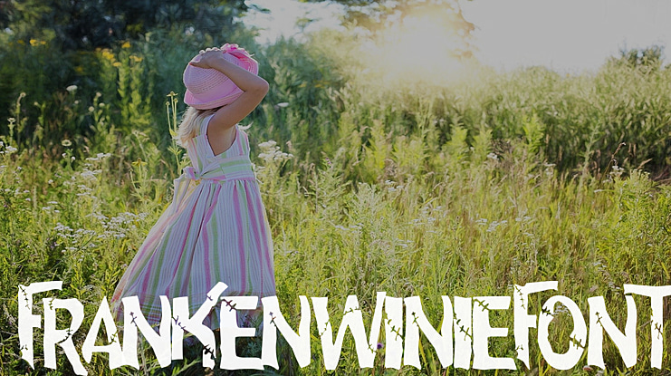 frankenwiniefont Font