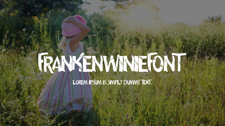 frankenwiniefont Font