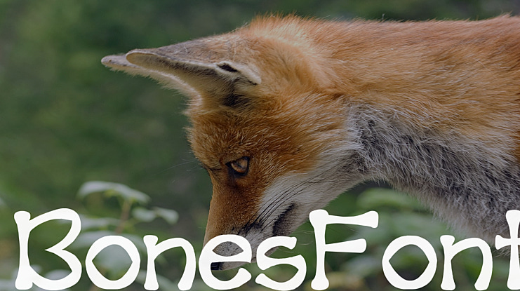BonesFont Font