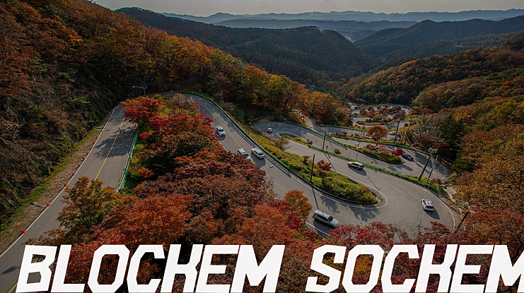 Blockem Sockem Font Family