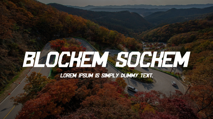 Blockem Sockem Font Family