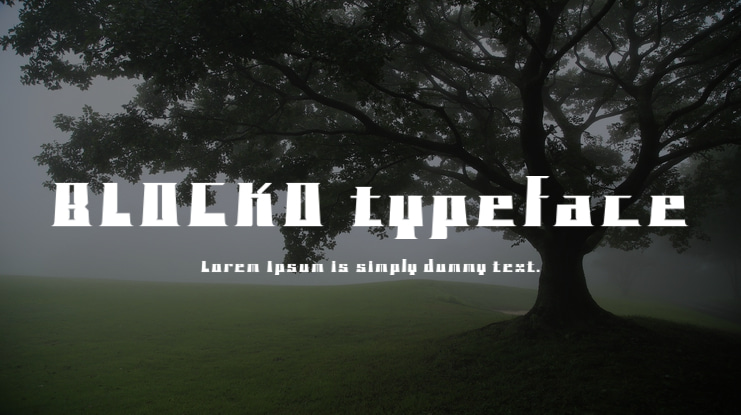 BLOCKO typeface Font