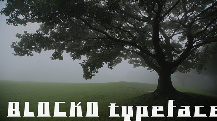 BLOCKO typeface Font