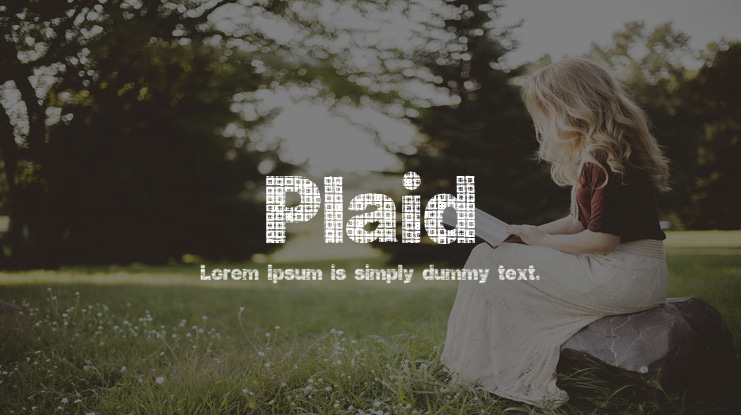 Plaid Font