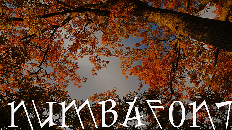 Numbafont Font