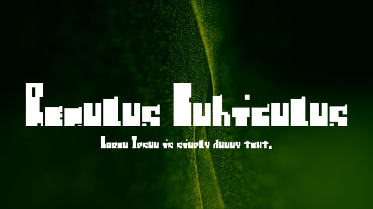 Regulus Cubiculus Font