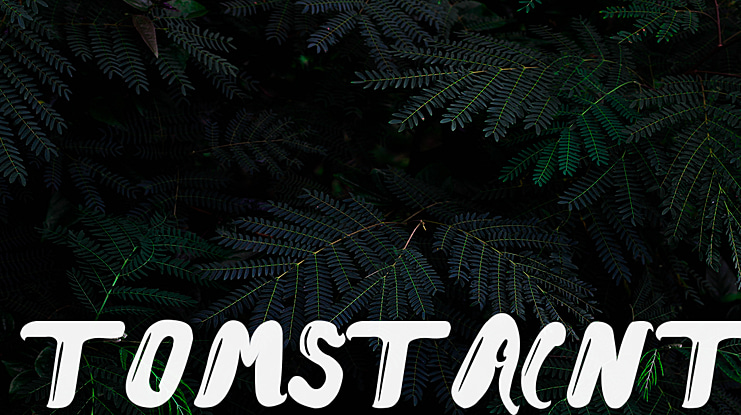 tomstaint Font