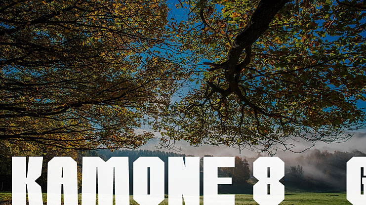 kamone 8__G Font