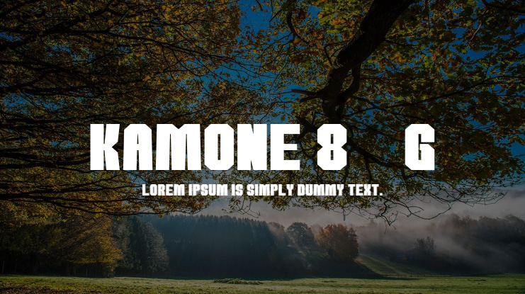 kamone 8__G Font