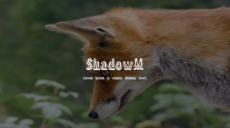 ShadowM Font