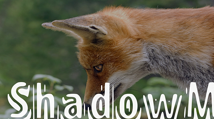 ShadowM Font