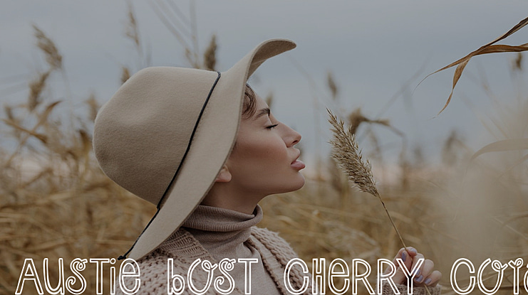 Austie Bost Cherry Cola Font